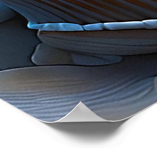 Muscheln am Strand Poster (Ecke)