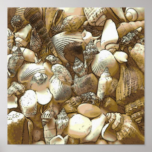 Muscheln am Strand Poster