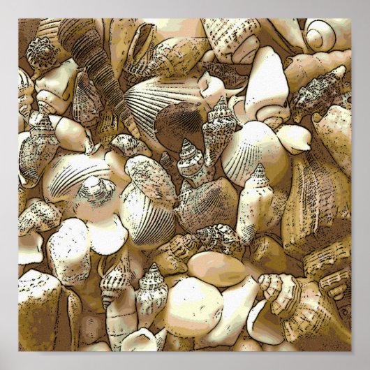 Muscheln am Strand Poster (Vorne)