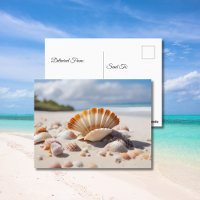 Muscheln am Strand