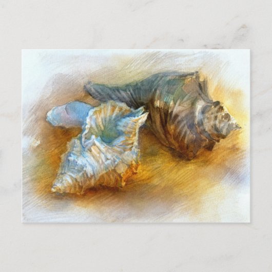 Muscheln am Strand Postkarte (Vorderseite)