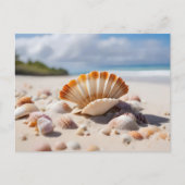 Muscheln am Strand Postkarte (Vorderseite)