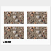 Muscheln am Strand Rechteckiger Aufkleber (Blatt)