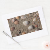 Muscheln am Strand Rechteckiger Aufkleber (Umschlag)