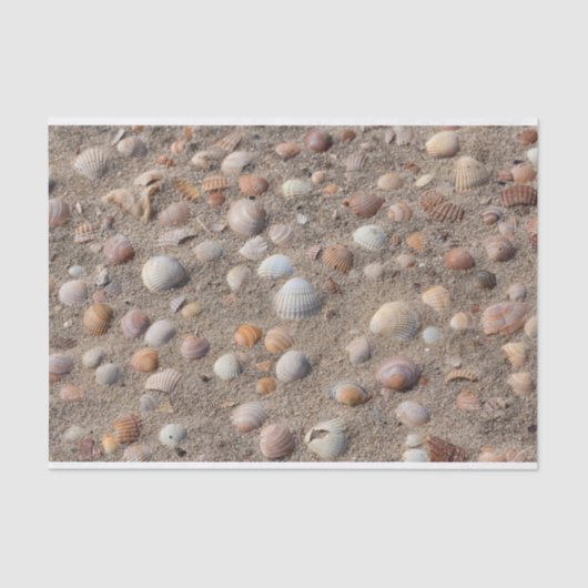 Muscheln am Strand Seidenpapier (Vorderseite)