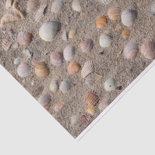 Muscheln am Strand Seidenpapier (Ausschnitt)