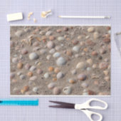 Muscheln am Strand Seidenpapier (Handwerk)