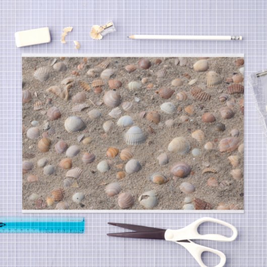 Muscheln am Strand Seidenpapier (Handwerk)