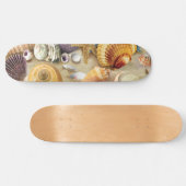 Muscheln am Strand Skateboard (Horizontal)