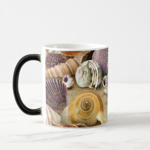 Muscheln am Strand Verwandlungstasse