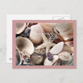 Muscheln am Ufer Postkarte (Vorne/Hinten)