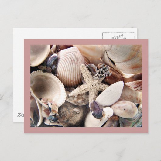 Muscheln am Ufer Postkarte (Vorne/Hinten)