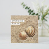 MUSCHELN - ANKÜNDIGUNG DATUM FREIHALTEN (Stehend Vorderseite)