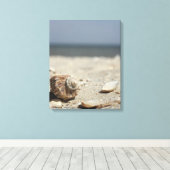 Muscheln auf dem Sand am Meer Leinwanddruck (Insitu (Holzboden))