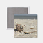 Muscheln auf dem Sand am Meer Magnet (Vorderseite/Rückseite)