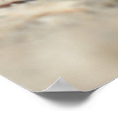 Muscheln auf dem Sand am Meer Poster (Ecke)