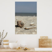 Muscheln auf dem Sand am Meer Poster (Küche)