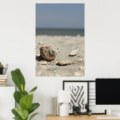 Muscheln auf dem Sand am Meer Poster (Heimbüro)