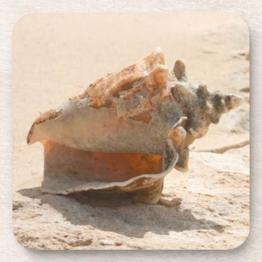 Muscheln auf dem Strand Getränkeuntersetzer (Vorderseite)