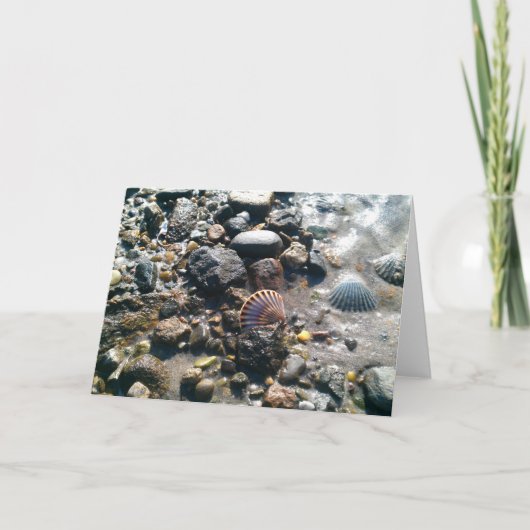 Muscheln auf dem Strand Karte (Vorderseite)