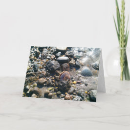 Muscheln auf dem Strand Karte