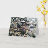 Muscheln auf dem Strand Karte (Gelbe Blume)