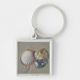 Muscheln auf der Beach Business Card Schlüsselanhänger