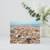 Muscheln auf der Beach Post Card Postkarte (Stehend Vorderseite)