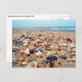 Muscheln auf der Beach Post Card Postkarte (Vorne/Hinten)