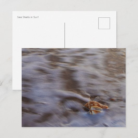 Muscheln auf der Postkarte (Vorne/Hinten)