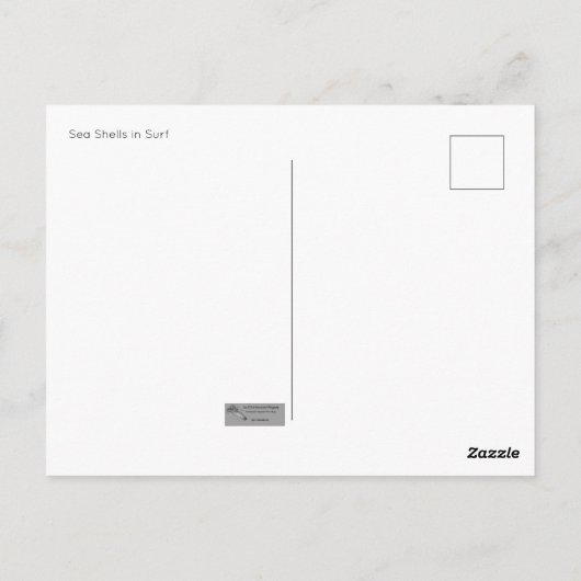 Muscheln auf der Postkarte (Rückseite)