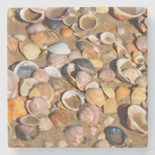 Muscheln auf einem Sandy-Strand Andalusien, Steinuntersetzer