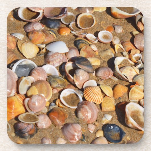 Muscheln auf einem Sandy-Strand | Andalusien, Untersetzer (Vorderseite)