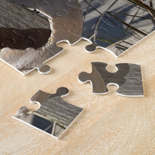 Muscheln auf einem Zaun am Ocean Puzzle (Seite)