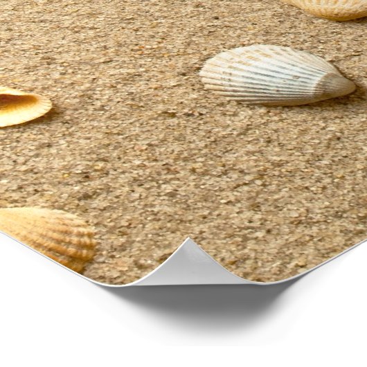 Muscheln auf Sand Poster (Ecke)