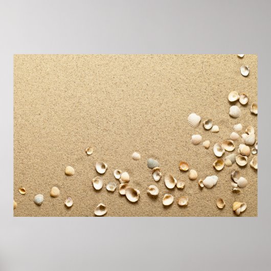 Muscheln auf Sand Poster (Vorne)