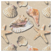 Muscheln auf Strand-Sand Stoff (Nahaufnahme)