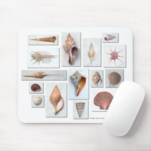 Muscheln auf Weiß Mousepad (Mit Mouse)