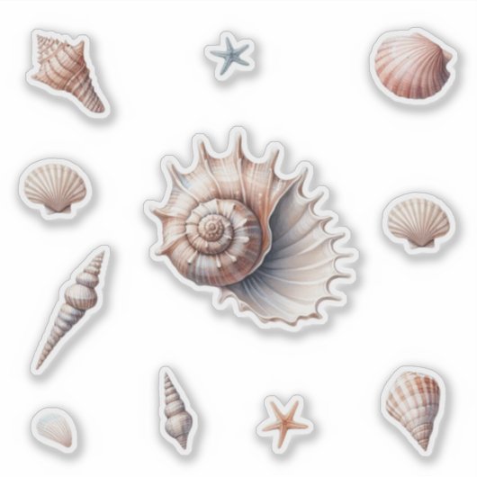 Muscheln Aufkleber (Vorderseite)