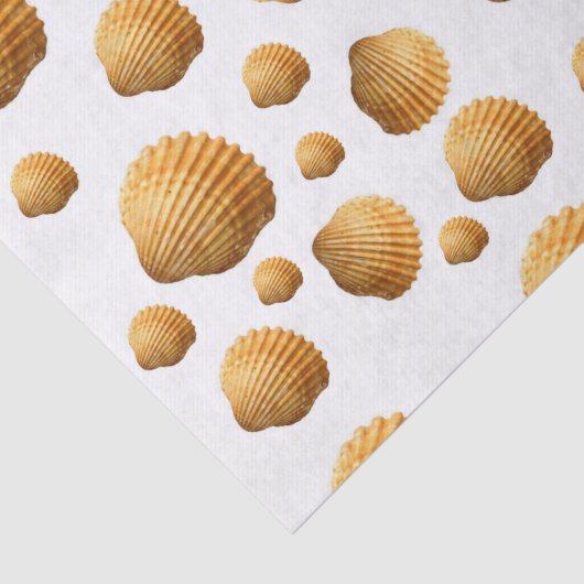 Muscheln aus dekorativem Gewebe Seidenpapier (Ausschnitt)