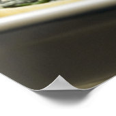 Muscheln aus gebackenen Nudeln mit Spinatfüllung Poster (Ecke)