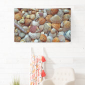 Muscheln Banner (Insitu)