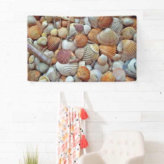 Muscheln Banner (Insitu)