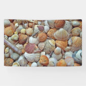 Muscheln Banner (Horizontal)
