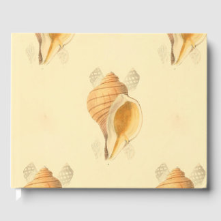 Muscheln Beach Art Design helle Sonne Gästebuch