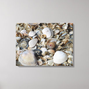 Muscheln Beach Scene Macro Foto Mauer Art Leinwanddruck