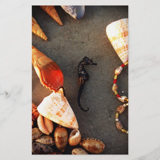 Muscheln Briefpapier (Vorderseite)