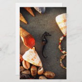 Muscheln Briefpapier (Vorne/Hinten)