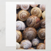 Muscheln Briefpapier (Vorne/Hinten)