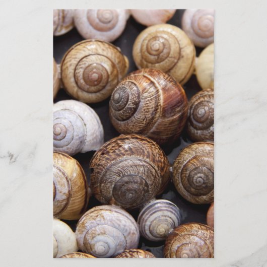 Muscheln Briefpapier (Vorderseite)